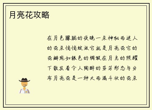 月亮花攻略