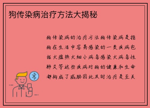 狗传染病治疗方法大揭秘
