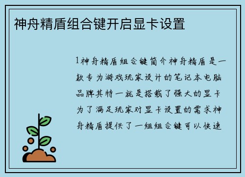 神舟精盾组合键开启显卡设置